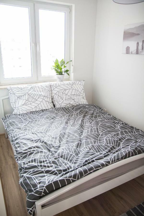 Apartament F&J Stary Toruń المظهر الخارجي الصورة