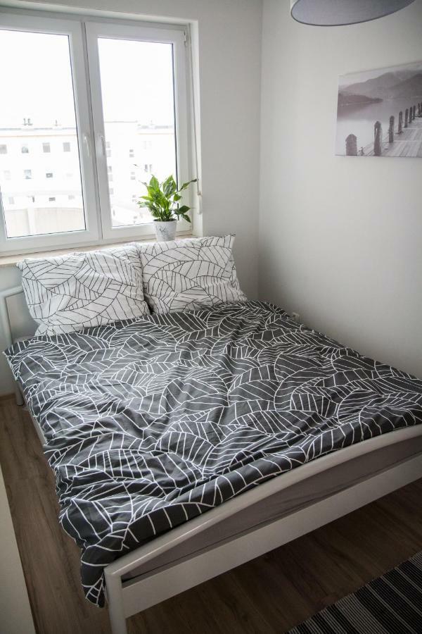 Apartament F&J Stary Toruń المظهر الخارجي الصورة